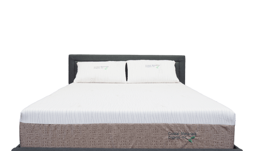 Organic Mattress
